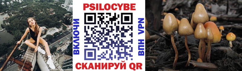 Псилоцибиновые грибы ЛСД  Бежецк 
